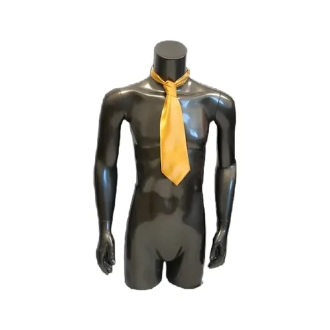 Male Torso Mannequin with Arms